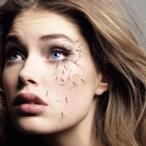 LASH SHED ΤΡΙΧΌΠΤΩΣΗ